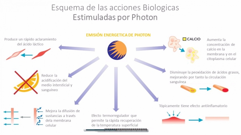 gallery/fluxo photon